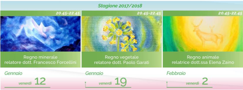 medicina_regni_fgz-calendario