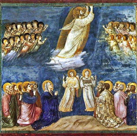 Ascensione di Giotto