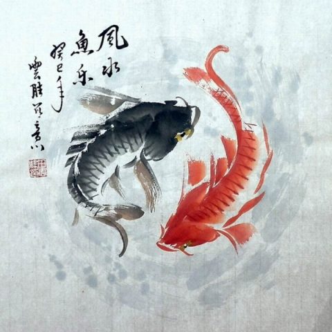 Immagine: Koi Fish (pesci Koi) - Tian Yun Sheng (disegno su carta di riso)