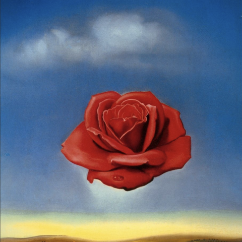 Salvador Dalì, La rosa meditativa (1958)