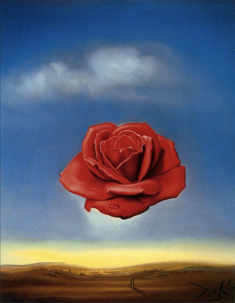 Salvador Dalì, La rosa meditativa (1958)