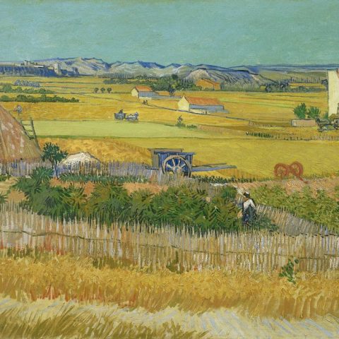 Il raccolto Dipinto di Vincent van Gogh 1888