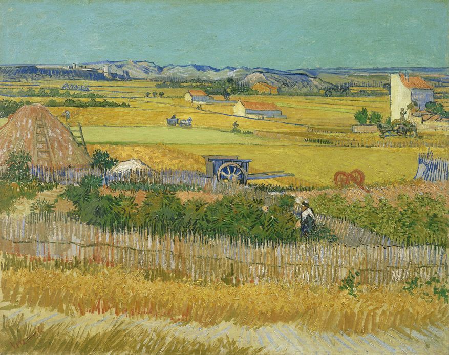 Il raccolto Dipinto di Vincent van Gogh 1888