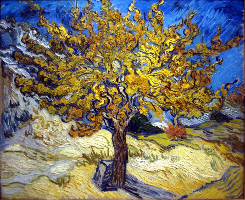 Vincent Van Gogh, Albero di gelso, olio su tela, 1889