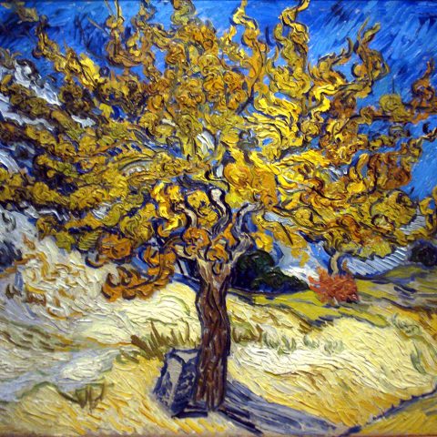 Vincent Van Gogh, Albero di gelso, olio su tela, 1889