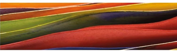Il Colore Filo conduttore dei ricordi Tavola rotonda di presentazione della Mostra delle opere di Luciano Atzei e Alessandra Tarello - immagine