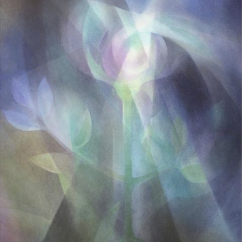 Birgit Tiller, Il fiore azzurro, acquerello, 2000