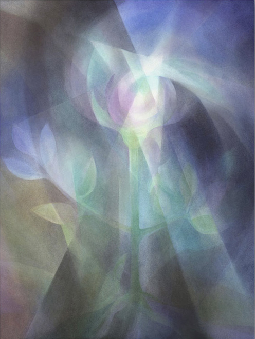 Birgit Tiller, Il fiore azzurro, acquerello, 2000