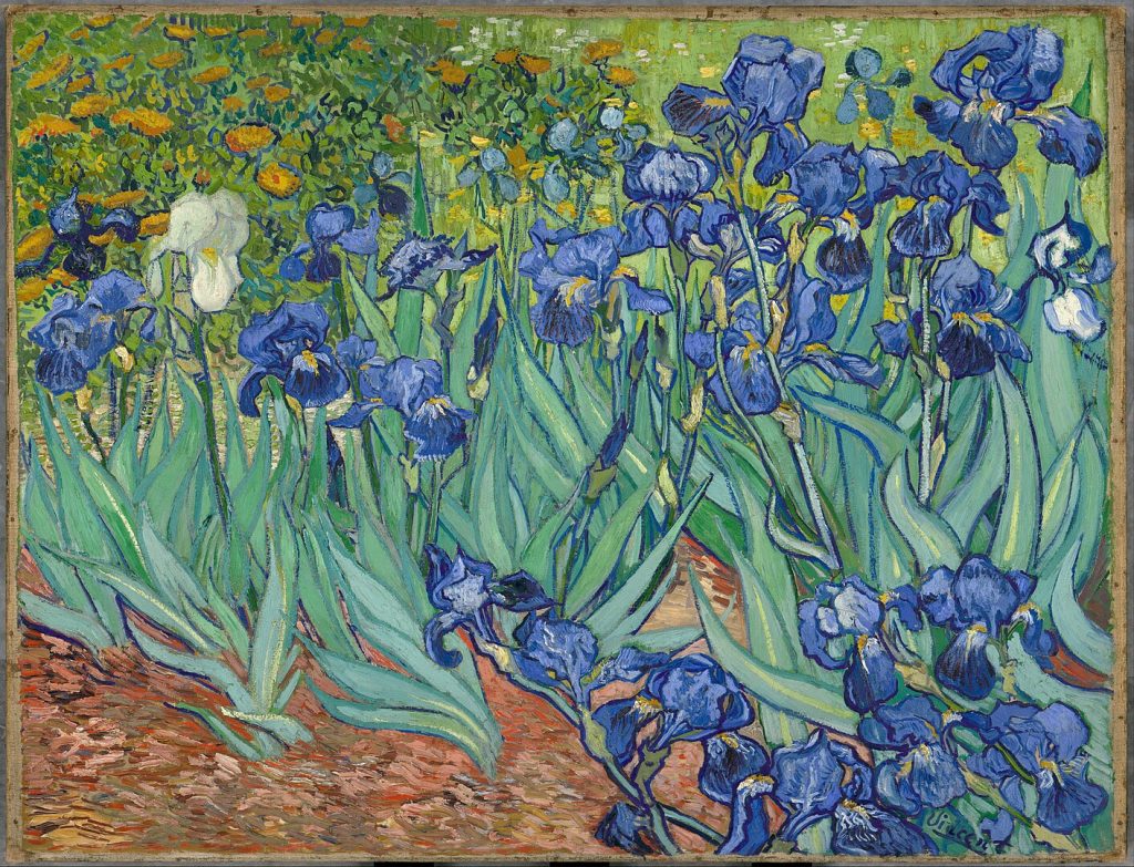 Vincent Van Gogh, Iris, olio su tela, 1889
