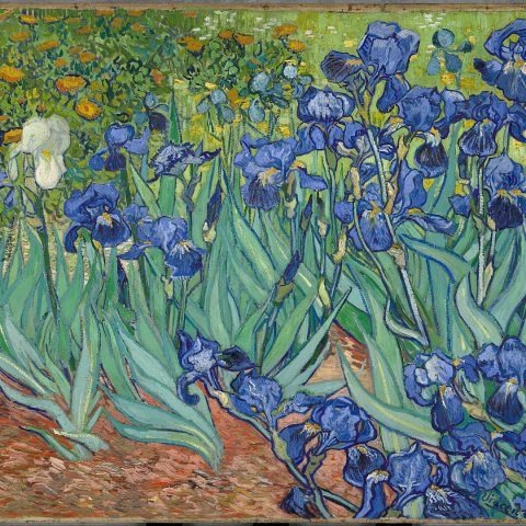 Vincent Van Gogh, Iris, olio su tela, 1889