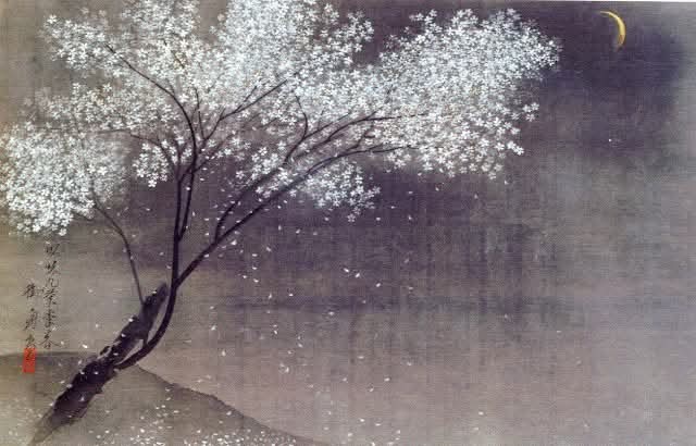 Hayami Gyoshu, Fiori di ciliegio in una notte, olio su tela, 1934
